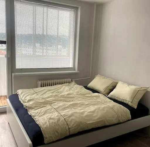 Appartement Right Next To The Center And Aupark *